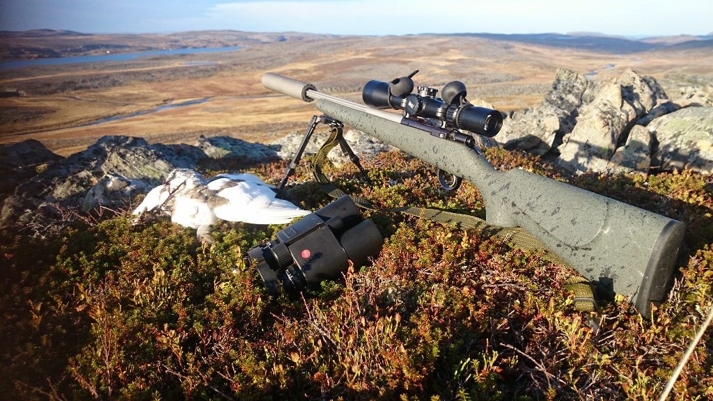 Ptarmigan Oct 2014 (1024x576)