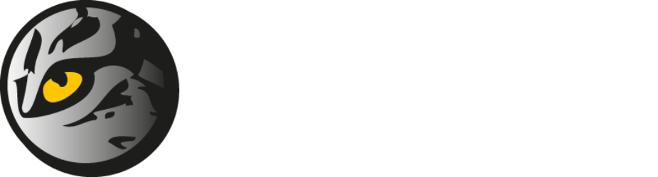 Steinert Sensing Systems